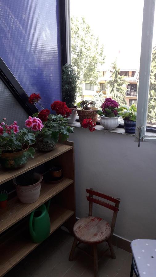 Annika Apartman Eger Exterior foto